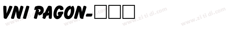 VNI Pagon字体转换